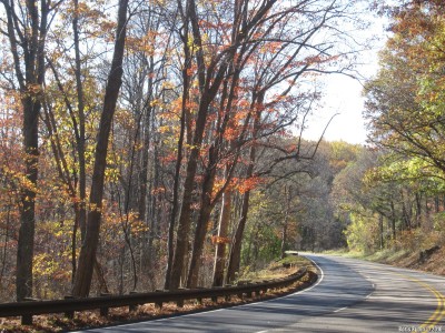 Skyline Drive