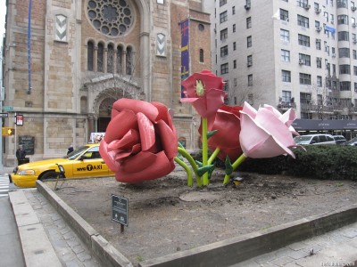 Розы Уилла Римана на Парк авеню