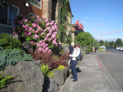 Около Olympic Lodge в Port Angeles