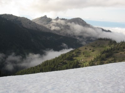 На Hurricane Ridge.