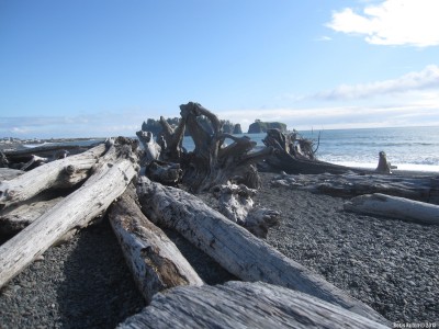 Rialto Beach