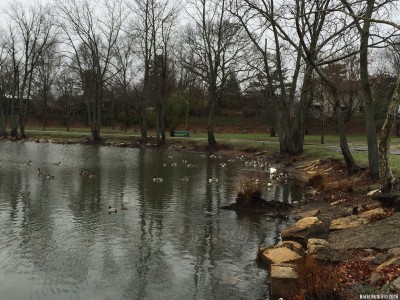 Озеро в Grant Park