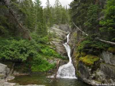 Aster Falls