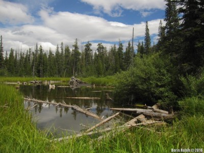 По дороге к Aster Falls