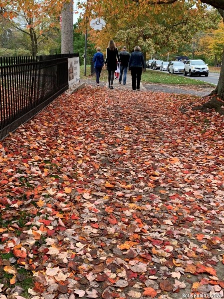 Цветной палас из листьев на улице
