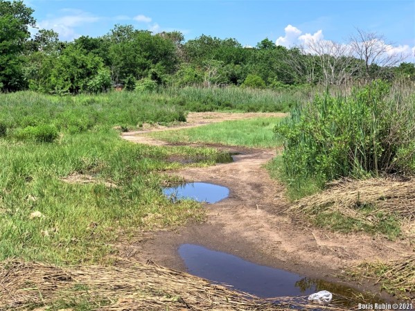 На Salt Marsh Nature Trail