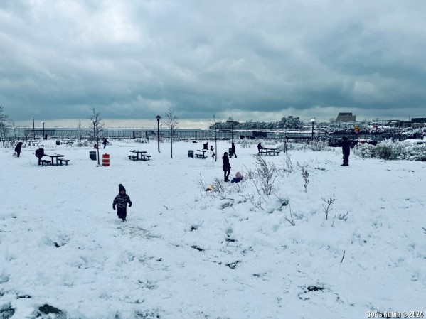 В заснеженном парке